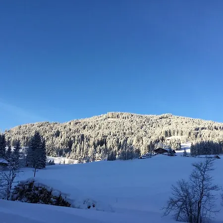 Vierthaler * פילצמוס