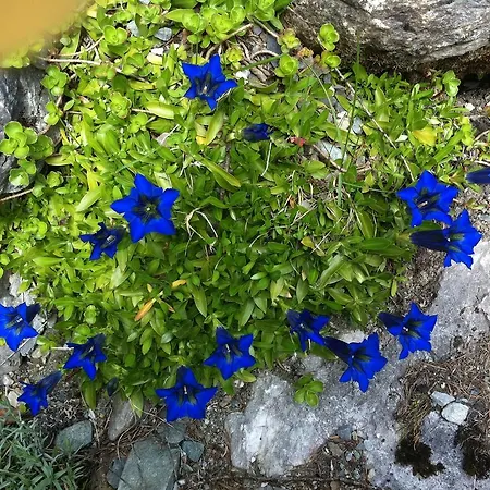 דירה Vierthaler פילצמוס