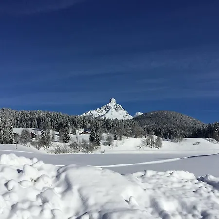 Vierthaler * פילצמוס