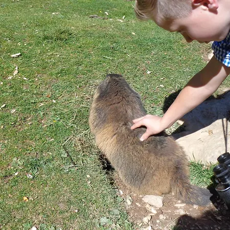 Appartement Vierthaler